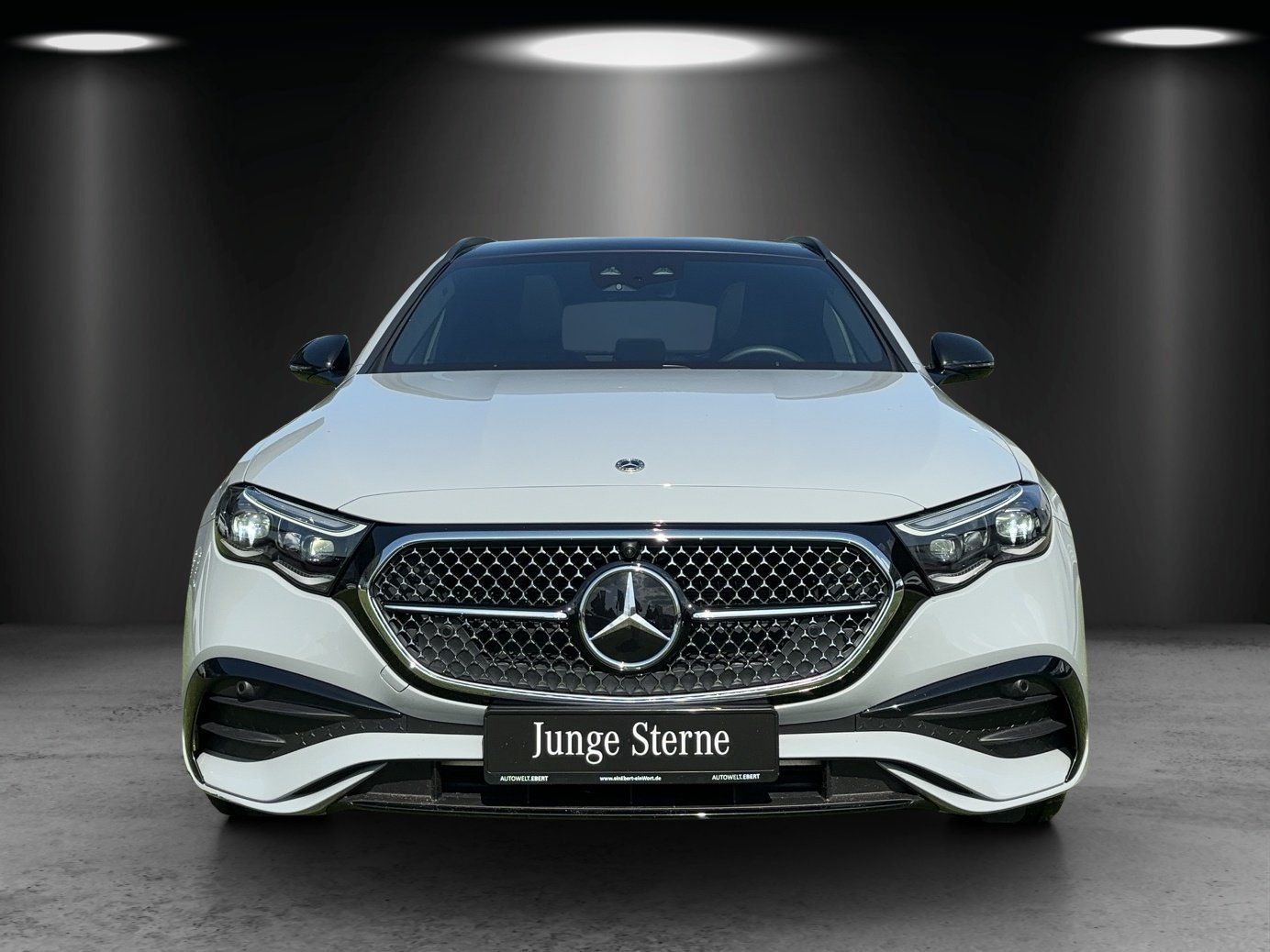 Fahrzeugabbildung Mercedes-Benz E300de T AMG Prem+ DISTRO Superscrn AIRMATIC AHK