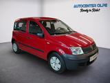 Fiat Panda 1.1 8V Active **ERST 38TKM-TÜV NEU** - Fiat Panda: Active