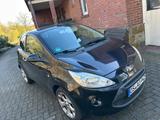Ford Ka/Ka+ 1,2 Sport  - Ford Ka/Ka+ in Osnabrück