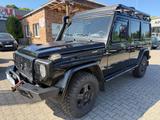 Mercedes-Benz G 300  CDI  G Professional - Mercedes-Benz G 300: Professional