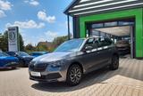 Skoda Kamiq Monte Carlo OPF 1,0 TSI - Skoda Kamiq: Kleinwagen