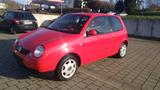 Volkswagen Lupo 1.4 Auto Comfortline/ 1 HAND/ORG 71000 KM - Volkswagen Lupo: Comfortline