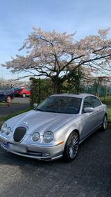 Jaguar JAGUAR S TYPE 3.0 V6  EXECUTIVE Sammlerzus... - Jaguar S-Type: Jag