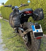 Ducati SCR 800 Icon, + Extras,Schaltautomat,usw. - Angebote
