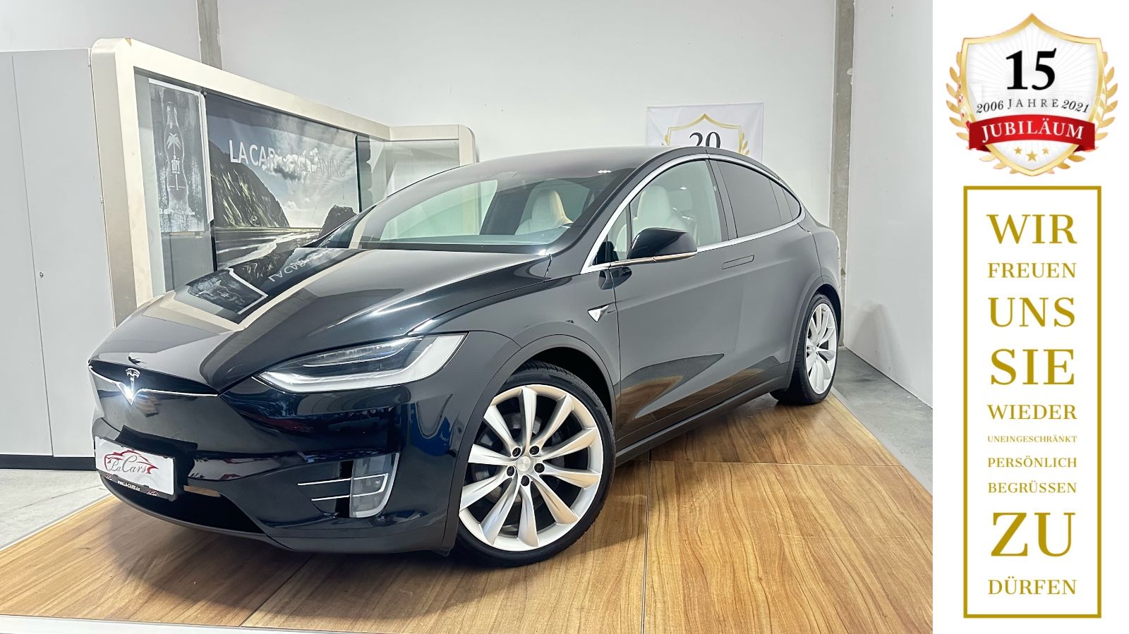 TESLA Model X Performance Dual Allradantrieb