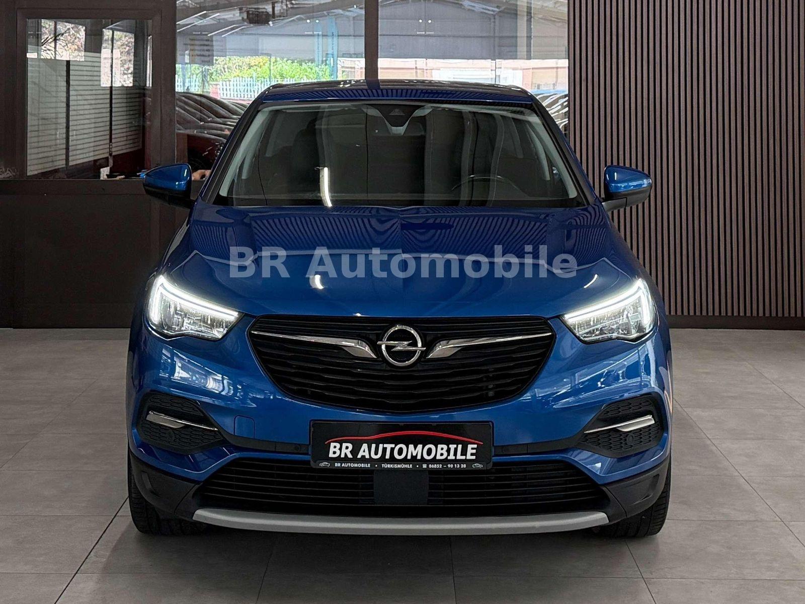 Opel Grandland X Dynamic*1.Hand*AHK*Kamera*SHZ*LHZ