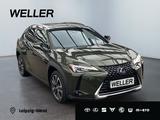 Lexus UX 250h Style Edition *Bi-LED*ACC*CAM*SHZ*CarPla - Lexus UX in Leipzig