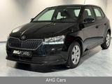 Skoda Fabia Ambition 1.0 TSI *NAVI*PDC*SHZ*1HAND*TEMP* - gebrauchte Skoda Fabia aus dem Jahr 2021