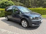 Volkswagen Caddy Maxi 7-Sit/4M 4x4/Garanti/8 F.Berf/AHK - Volkswagen Caddy Maxi aus 2019