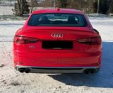 Audi S5 3.0 TFSI tiptronic quattro Sportback - - rote Audi S5