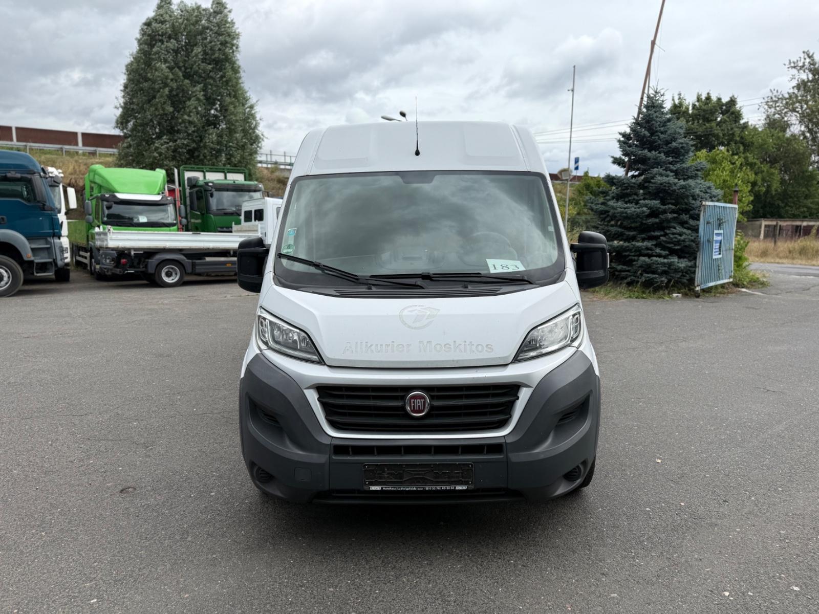 Fiat Ducato Grossr.-Kasten 35 130 L4H2 RS: 4035 mm