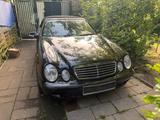 Mercedes-Benz CLK 230 Kompressor Cabrio !!! - gebrauchte Mercedes-Benz CLK 230 aus dem Jahr 2002