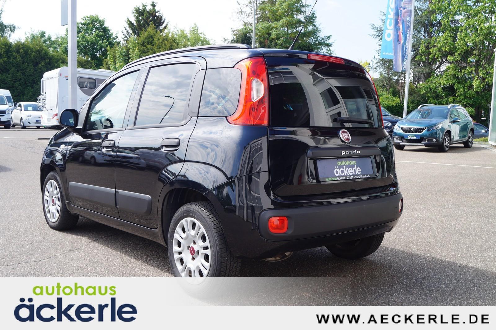 Fiat Panda Easy Winter-Paket I Komfort-Paket | Beheiz