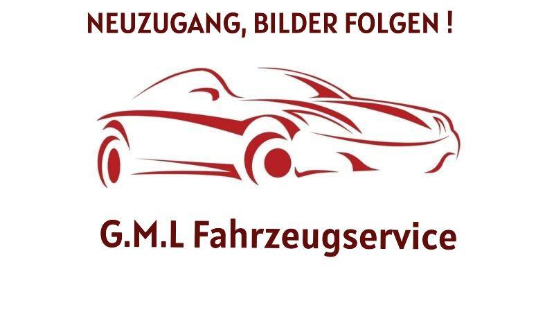 Ford Puma ST-Line Kamera PDC Shzg