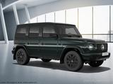 Mercedes-Benz G 450d Professional Night Standh 360° AHK SHD - Mercedes-Benz G 450 Gebrauchtwagen