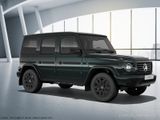 Mercedes-Benz G 450 d Professional Nightp Standh 360K AHK SHD - Mercedes-Benz G 450