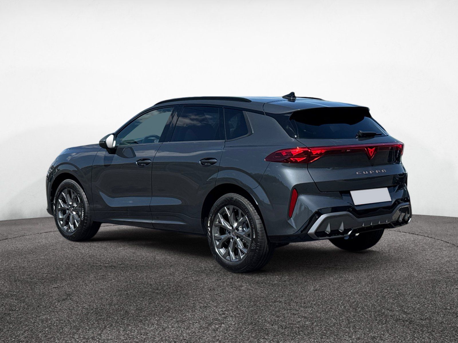 Cupra Terramar - Bild 5