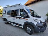 Globecar Citroen Globecar Globestar 640 SG  - Globecar Kastenwagen