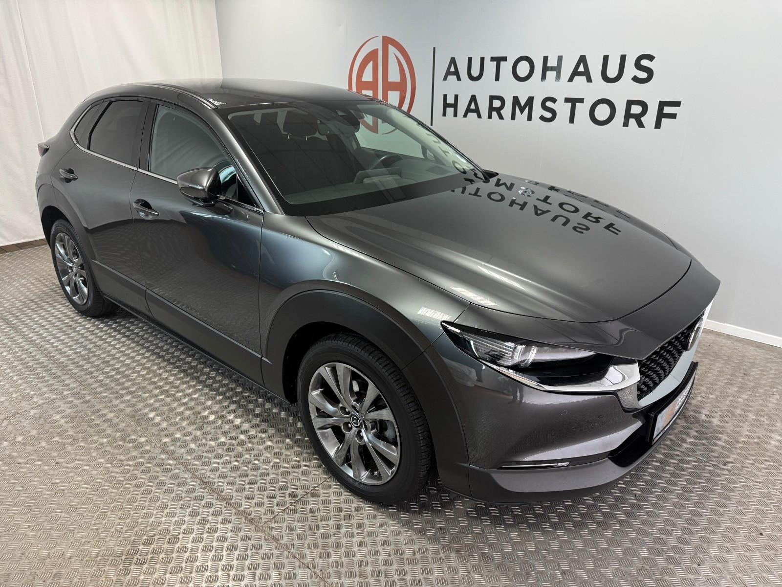 Mazda CX-3 0 Selection 2WD AHK Bose HeadUp Kamera, миниатюра 8
