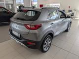 Kia Stonic 1.0 T-GDI 100 DCT Vision Kamera Navi - Kia Neuwagen