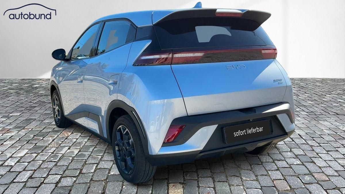 BYD DOLPHIN SURF