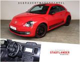 Volkswagen Beetle Sport 2.0 TSI DSG XEN*NAVI*CARPLAY*PDC - Volkswagen Beetle in Hamburg