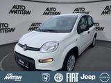 Fiat Panda 1.0 Mild Hybrid - Fiat Panda Tageszulassungen mit Benzin-Antrieb