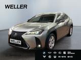 Lexus UX 250h F SPORT Design *Bi-LED*ACC*RCam*SHZ*PDC*