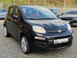 Fiat Panda Pop 1.2/ Klima - gebrauchte Fiat Panda aus dem Jahr 2019
