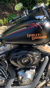 Harley-Davidson Cross Bones - HARLEY-DAVIDSON CHOPPER CROS BONES