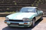 Jaguar Coupe Insignia 6.0 V12 mit 2 Jahre Garantie - Jaguar XJS: Coupé, V12