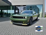 Dodge Challenger RT-Plus Blacktop Unfallfrei - Dodge Challenger: Rt