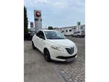 Lancia Ypsilon Gold 1.2 PDC Berganfahrass. Alu Klima el - Lancia mit Benzin-Antrieb