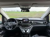 Mercedes-Benz Marco Polo Horizon 220d Standheizung+360°LED - Mercedes-Benz: Marco