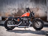 Harley-Davidson XL1200X Sportster Forty Eight -Miller-Heckumbau - HARLEY-DAVIDSON 2010 SPORTSTER 1200
