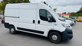 Fiat Ducato Kasten L2H2 EUR6/KLIMA/R-CAM/NAVI/TEMPOMT - Fiat Ducato Gebrauchtwagen in Frankfurt
