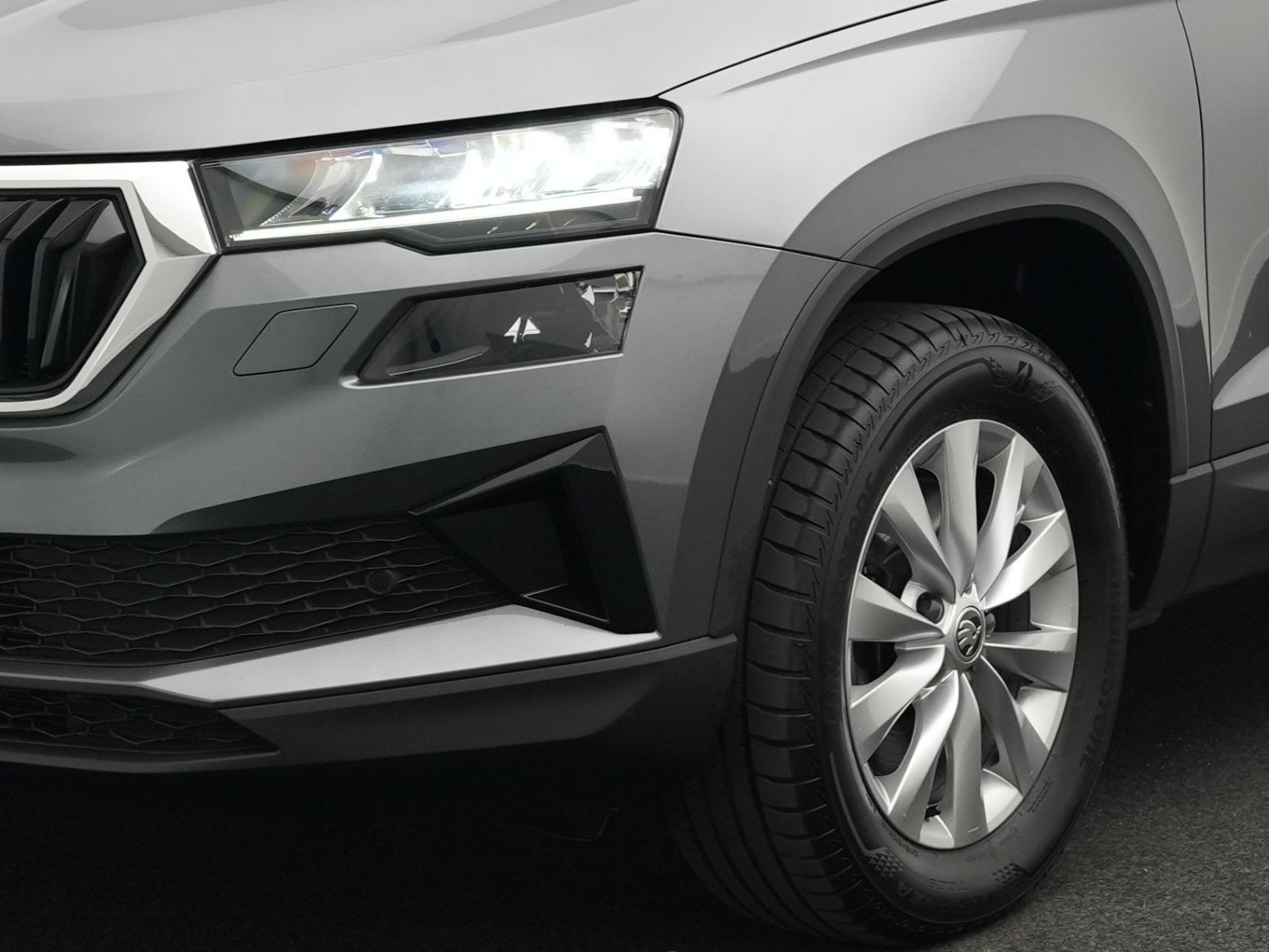 Skoda Karoq - Bild 22