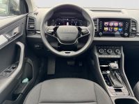 Skoda Karoq - Vorschau Bild 11