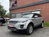 Land Rover Range Rover Evoque Pure 4X4 *T.LEDER*AHK*PDC* - Land Rover Range Rover Evoque in Mainz