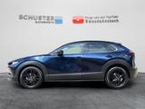 Mazda CX-30 Homura 2.5l Navi/Head-Up/LED-Licht/18-Zoll - blaue Mazda CX-30