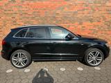 Audi Q5 3.0 TDI  Quattro Automatik Euro6 - Audi: Eu Auto