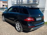 Mercedes-Benz ML 500 AMG + Designo 4-Matic - Mercedes-Benz: Firmenfahrzeug