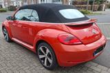 Volkswagen Beetle 2.0 TDI 81kW DSG BMT CLUB Cabriolet CLUB - Volkswagen Beetle mit Diesel-Antrieb: Cabrio