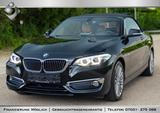BMW 220i Cabrio 1HAND/LEDER/KAMERA/SHZ/NAVI - BMW 220 in Stuttgart