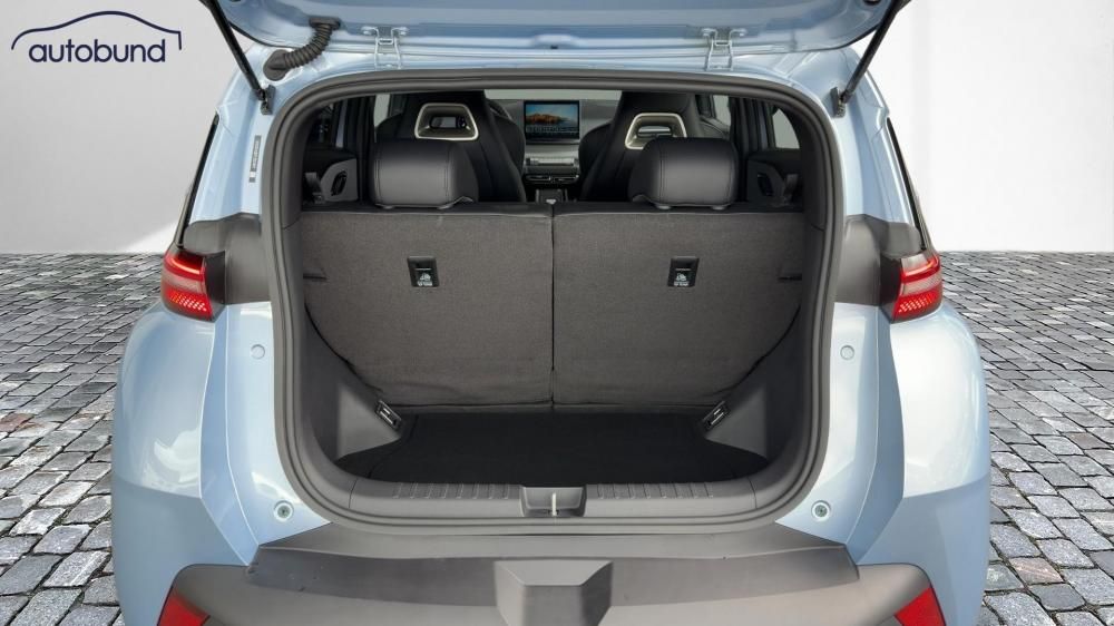 BYD DOLPHIN SURF