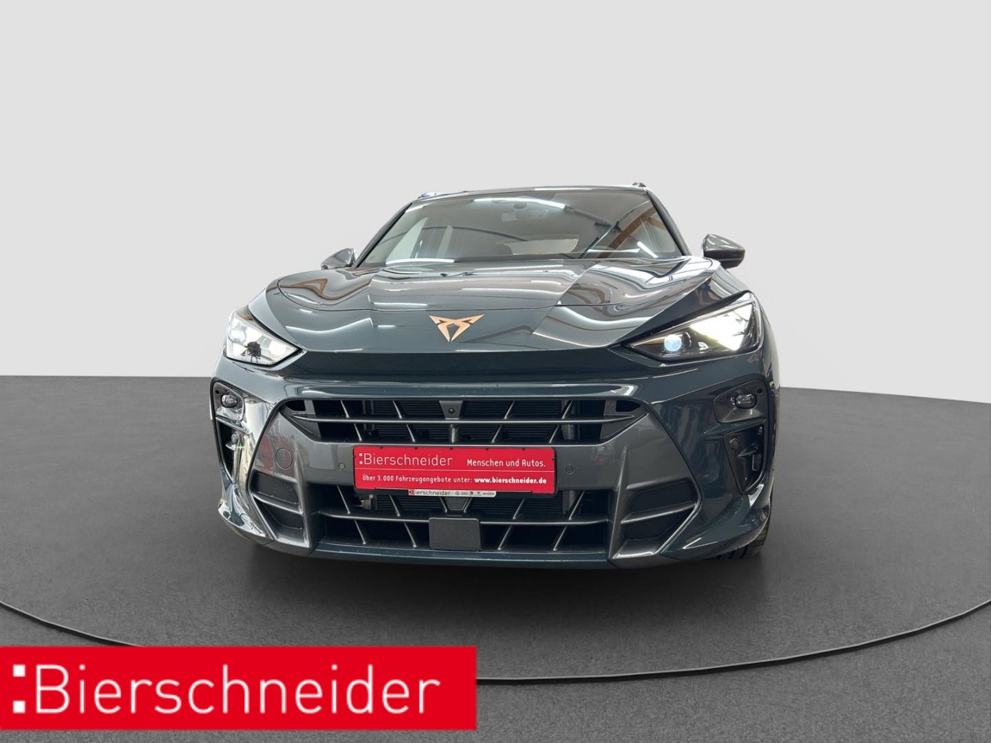 Cupra Terramar - Bild 3