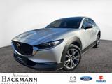 Mazda CX-30 L SKYACTIV-X 2.0 AHK SELECTION DES & ACT-P - Mazda CX-30 Gebrauchtwagen in Köln