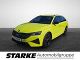 Skoda Octavia Combi RS 2.0 TSI 195 kW  Panodach AHK St