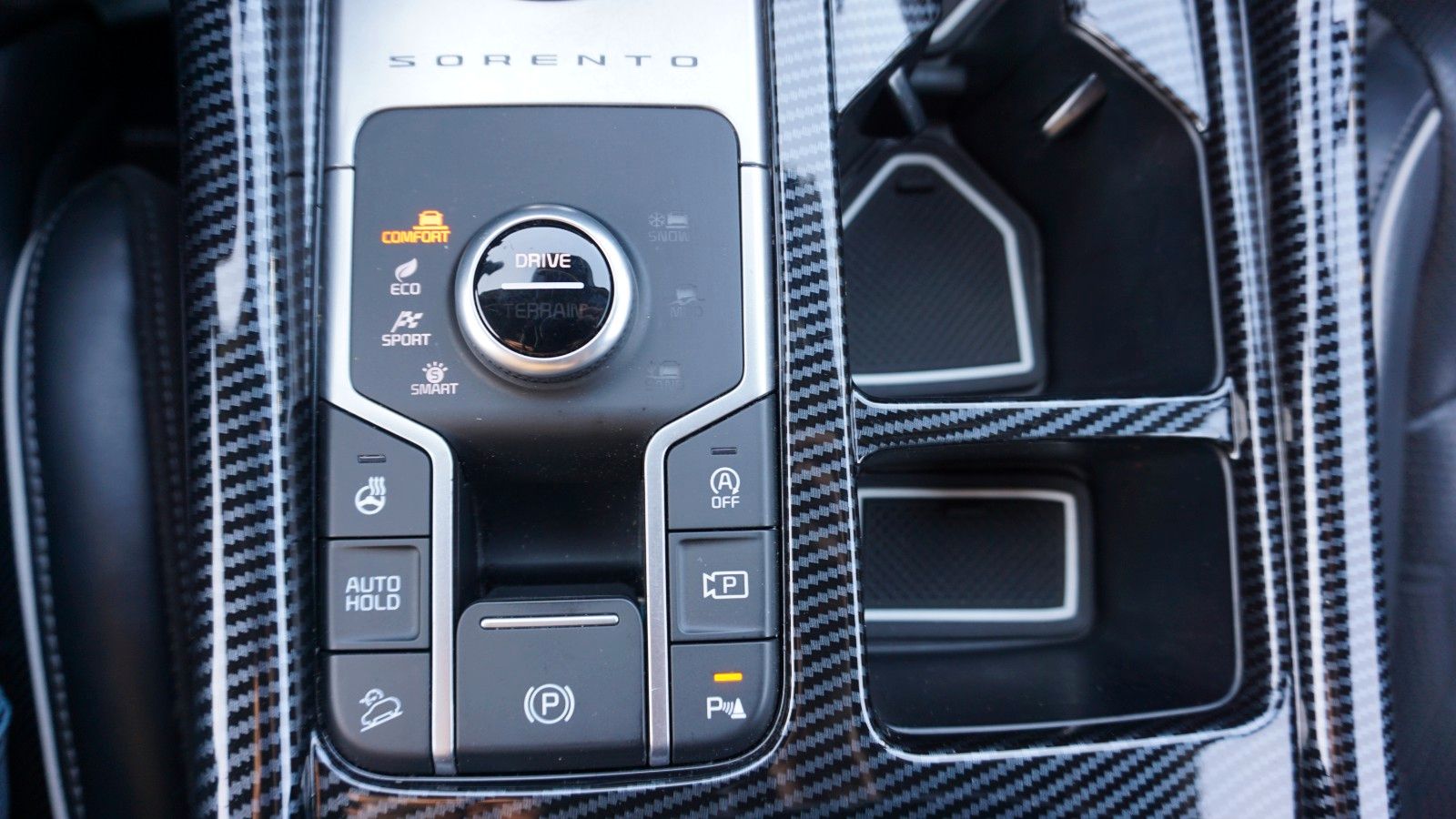 Fahrzeugabbildung Kia Sorento Platinum 4WD,Pano,Kamera,Navi,Leder,Bose