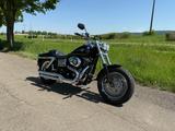 Harley-Davidson Dyna Fat Bob FXDF (FD2) Top Zustand - Angebote